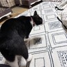  サムネイル3