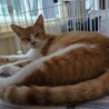  サムネイル2