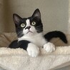  サムネイル2