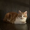  サムネイル2