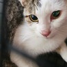  サムネイル2