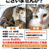  サムネイル3