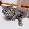  サムネイル4