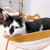  サムネイル4
