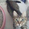  サムネイル2