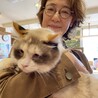  サムネイル2