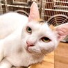  サムネイル3