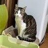  サムネイル2
