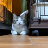  サムネイル3