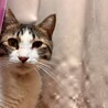  サムネイル5
