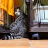  サムネイル6