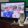  サムネイル2