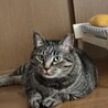  サムネイル3