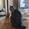  サムネイル2