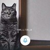  サムネイル4