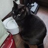  サムネイル2