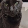  サムネイル3