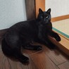  サムネイル4