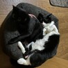  サムネイル2