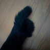  サムネイル2