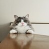  サムネイル2