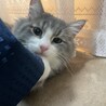  サムネイル3
