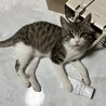  サムネイル2