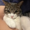 サムネイル3