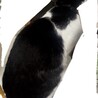  サムネイル3