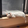  サムネイル2