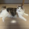  サムネイル2