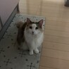  サムネイル3