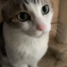  サムネイル2