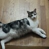  サムネイル3