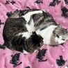  サムネイル4