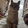  サムネイル2