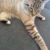  サムネイル3