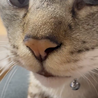  サムネイル4