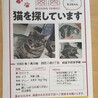  サムネイル3