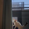  サムネイル2