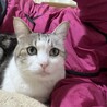  サムネイル5