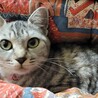  サムネイル2
