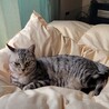  サムネイル3