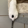  サムネイル2