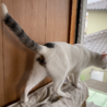  サムネイル4
