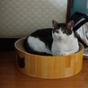  サムネイル2