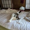  サムネイル2
