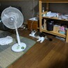  サムネイル3