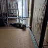  サムネイル4