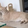  サムネイル3